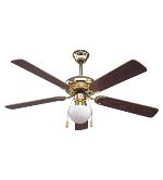 Ceiling Fans